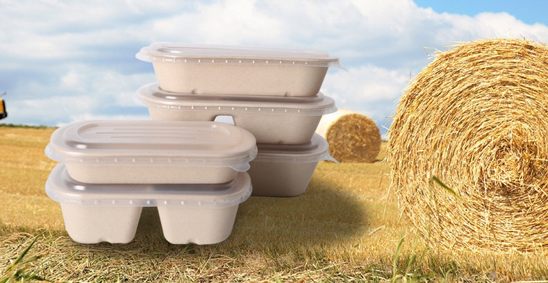 100% Compostable Disposable Eco Packaging Food Grade Sugarcane Pulp Lunch Box