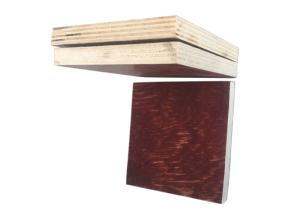 Quality Outdoor 4x8 Pine Plywood , Poplar Core Plywood For Van / Trailer Flooring wholesale