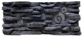 Quality Fossil Landscape Lizard Tank Background Thermal Insulation With Natural Look wholesale