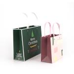Popular Paper Gift Packaging Bags Biodegradable Customized Weight For Christmas