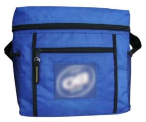 Quality Reusable ice cream cooler bag wholesale
