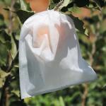 100% Polypropylene 2.4m Fabric Fruit Protection Bags 40gsm