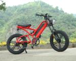 1000W 20 Inch Electric Fat Tire Bike 48V 16Ah Full Suspension Electric Bicycle