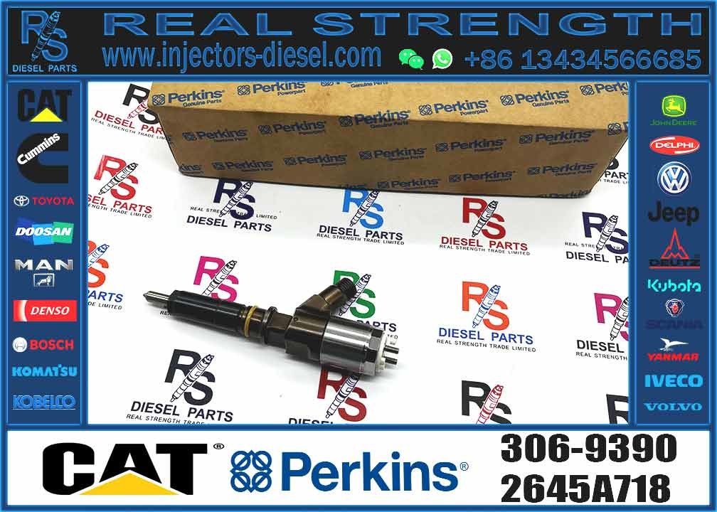 Diesel Fuel Engine Injector 306-9380 2645A734 306-9390 10R-7674 Fuel Injector For Cat Excavator Engine C6 C6.4