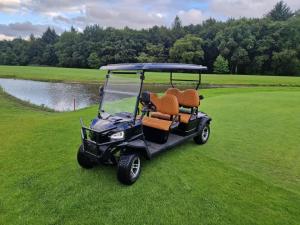 Quality 4 Seat Golf Cart With 48V Battery System Fast Charging Capability Powerful AC Motor wholesale