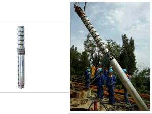 6 Inch Deep Well Submersible Pump For Borehole Well Centrifugal / Vertical Theory