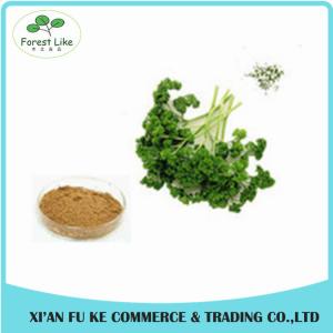 Quality Parsley / die Peterselie / prezzemolo Extract Powder wholesale