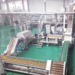 20TPD Sea Buckthorn Processing Fruit Juice Production Line