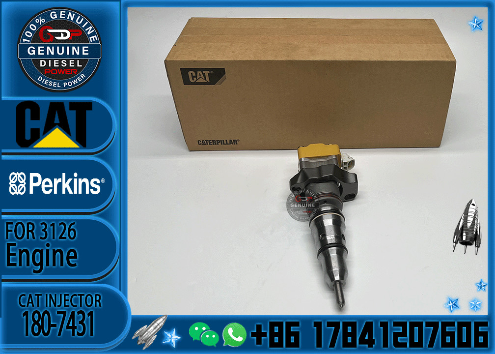 Common rail injector fuel injector 180-7431 198-6605 171-9710 218-4109 for 3216 Excavator 3126E 3126B