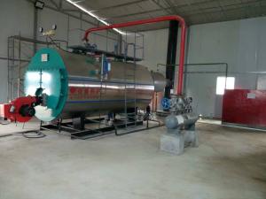 Quality Different Models Diesel Oil Industrial Steam Boiler Machine For Medical Use wholesale