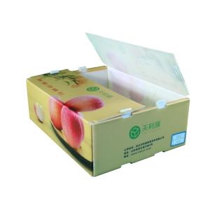 Quality Twinwall PP Corrugated Box Food Grade Corflute Container For Fruits Vegetables wholesale