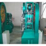 Automatic High Pressure Salt Block Press Machine for High Capacity in Restaurant
