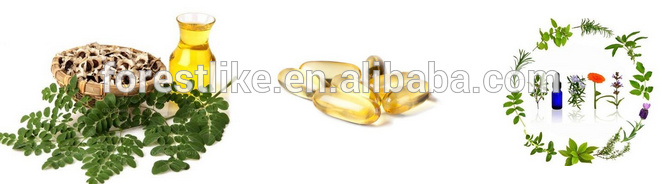 OEM & ODM Cold Pressed Moringa Seed Oil