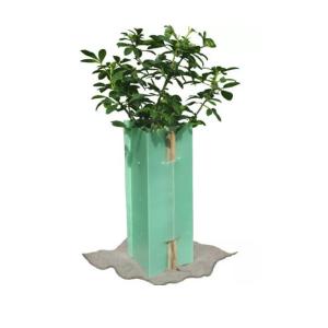 Quality Triangle Corflute Tree Guards Bunnings 5mm Coroplast Plastic Tree Protectors wholesale
