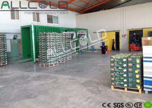 Quality Lettuce Celery Vacuum Cooling Equipment Danfoss / Frascold Refrigeration Parts wholesale