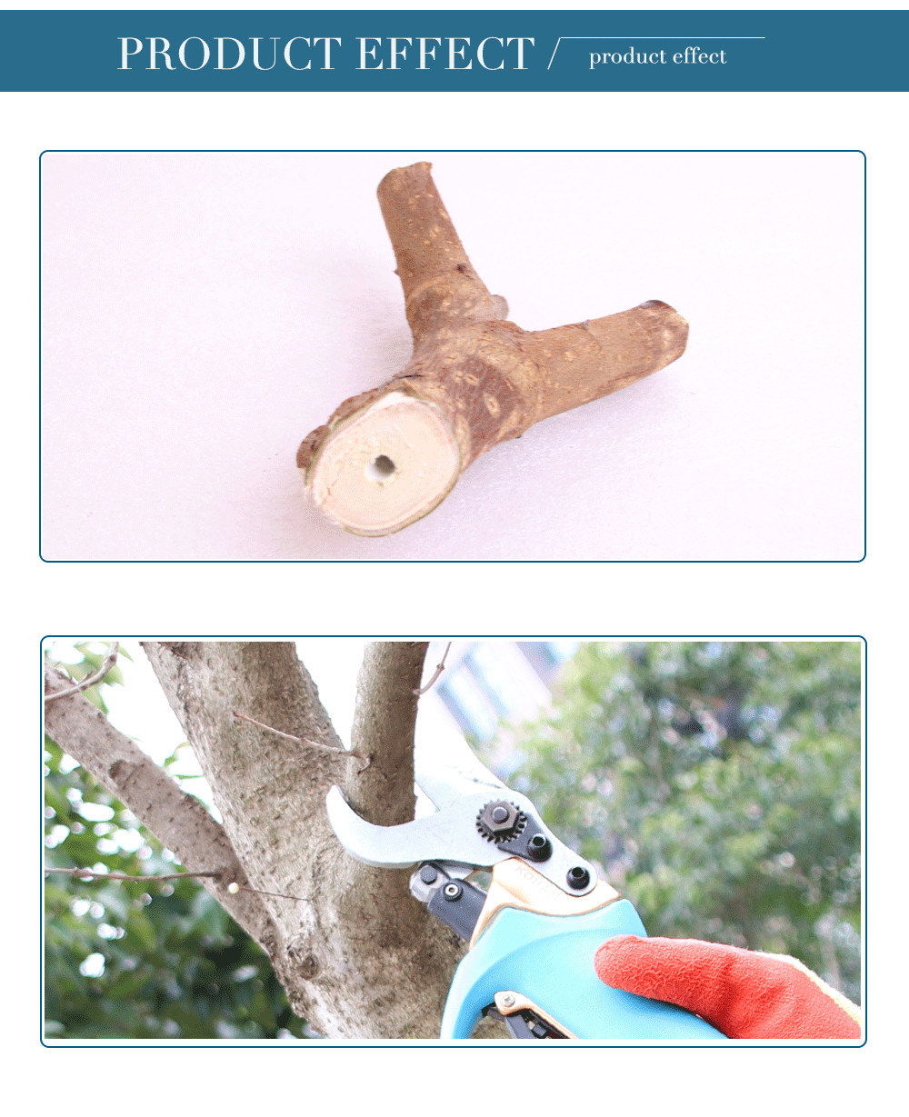 Swansoft Professional 3CM 36V Electric Fruit Pruning Shear / Electric Bypass Pruner for Orchards Fruit Trees