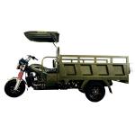 800W Power Battery Engine Plate 3 Wheel Cargo Tricycle for Adult Car
