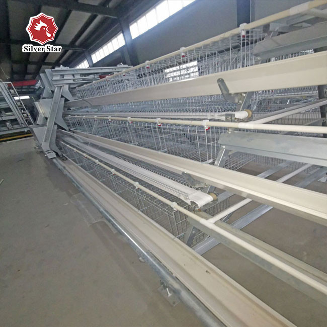 A Type Layer Chicken Cage Installation Provide