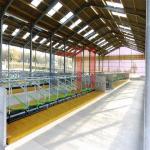 Modern Light Steel Frame Horse Barns , Steel Structure Building Cattle Shed