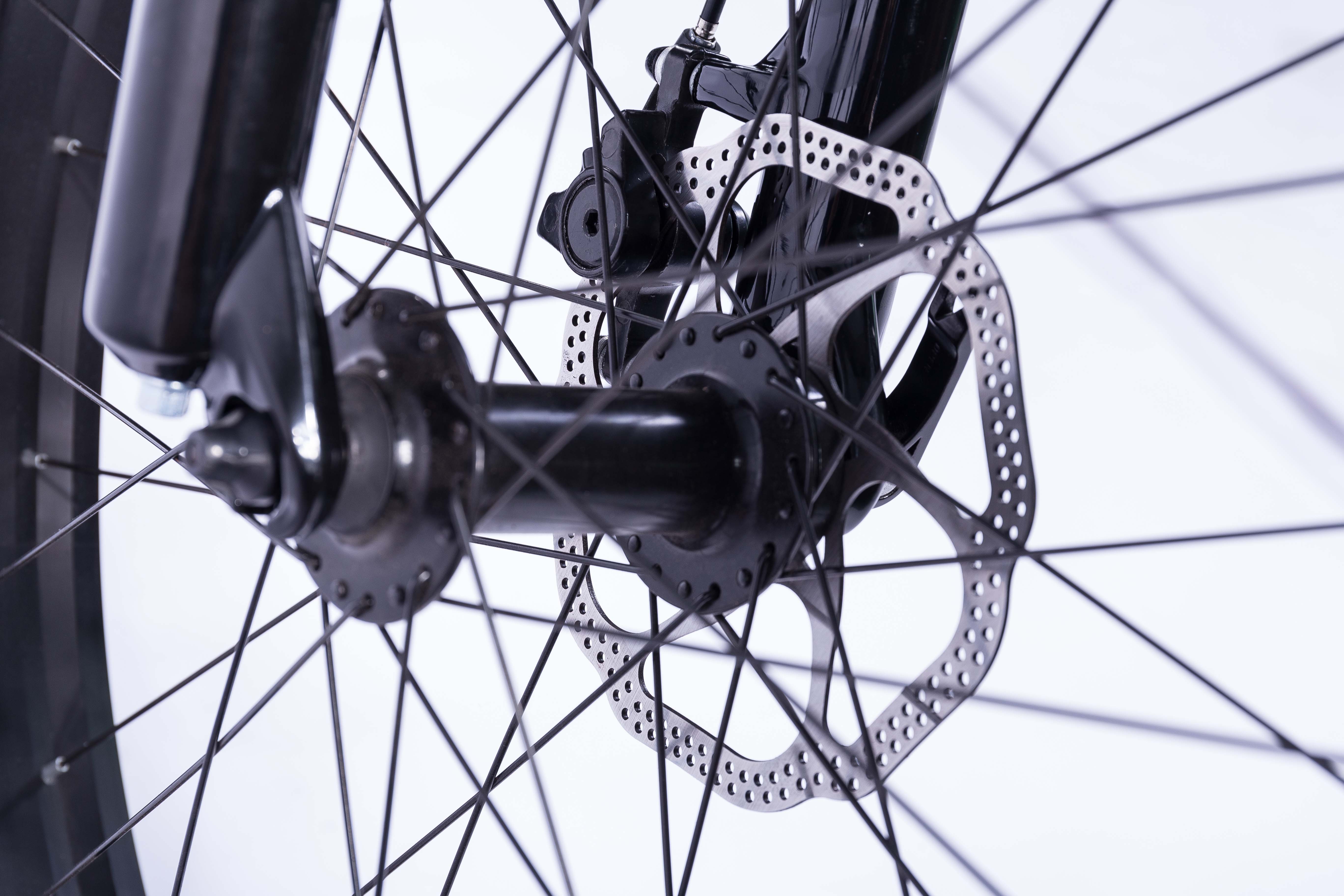 21 Speed Off Road Ebike , Snow Electric Mountain Bicycles Fat Tire 26 Inch