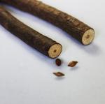 creative ballpoint pen wood Ball point pens handmade