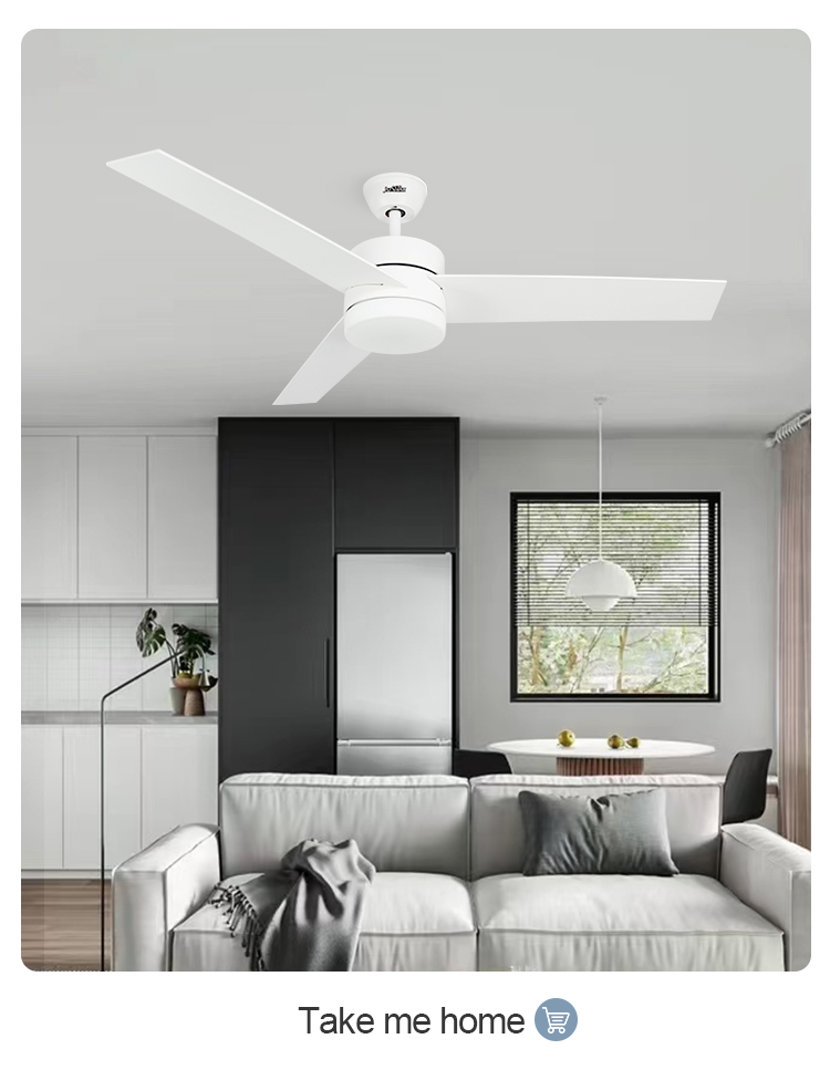 Metal Lamp Body Material Ceiling Fans with Light and Remote 1stshine Simple