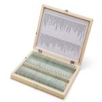 Mixed 100 Kinds Fitted Wooden Box Prepared Slides For Biology
