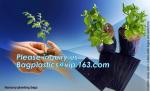 Grow bag, planter bags, nursery bags, agro planting bag, seedling bag, spling