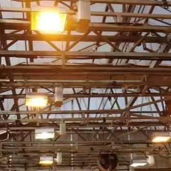 Hydroponic Vertical Farming Container System 40FT Container Farm Greenhouse
