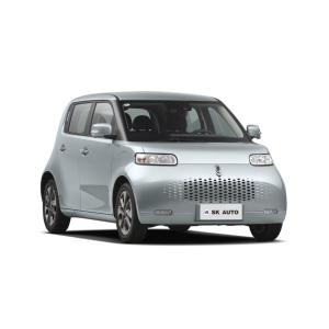 Quality ORA White Cat Mini EV Cars Family Girl New Energy Vehicle 102km/H wholesale
