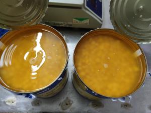 Quality Yellow Whole Kernel Soft Canned Sweet Corn Vacuum Sealed Tins Packed wholesale