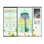 Outdoor Postal Service Laundry Cabinet Intelligent Wash Wardrobe Locker