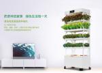 220W Indoor Smart Hydroponics System Vertical Farming Environmental Friendly