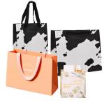 Paper Bag Custom Printed Logo Luxury Clothing Shopping Paper Bags Boutique