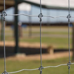 Quality Hot Dip Galvanized Fixed Knot Wire Fence 8ft Deer Wire Mesh wholesale