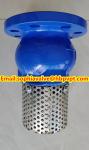 2024 hot sale flanged foot valve material GGG40