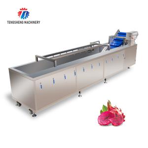 Quality SS Fruit Bubble Washing Machine Commercial Vegetable Cleaning Equipment wholesale