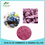 100% Natural Fruit Dried Blueberry Powder