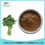 Organic Sweet Potato Leaf Extract Powder 10:1 for improve Hunman Immunity