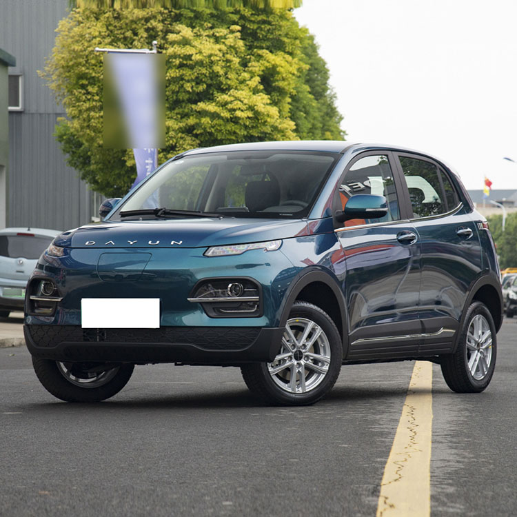 SUV Electric Cars Vehicle Fast High Speed Cars Dayun Yuehu Standard 300km EV Car