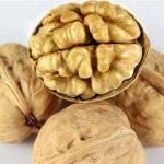 Wholesale Walnut Inshell Fresh Delicious Nutrition Kernel Food Dried Walnuts
