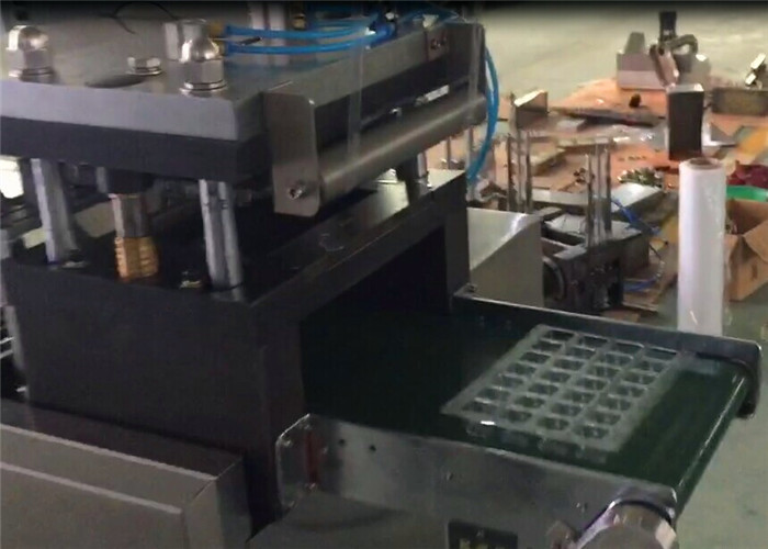 Automatic PVC Disposable Plates Tray Making Machine For Medicine small electrionic