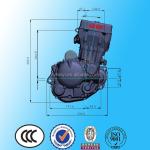LIFAN/LONCIN/ZONGSHEN/DAYANG 300cc Motorcycle Tricycle Engine Electric/Kick