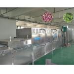 The Cheapest Drying Tunnel industrial vacuum dryer For Food Microwave Drying