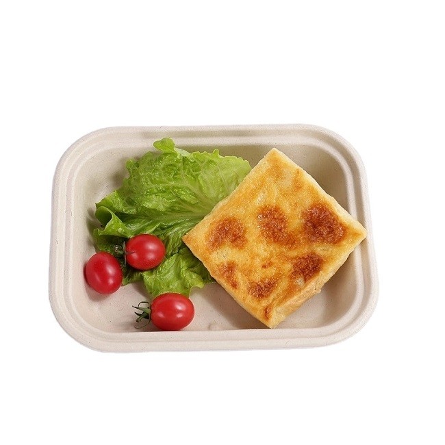 140ml Disposable Biodegradable Ugarcane Bagasse Tray For Food Vegetable Paper Plate