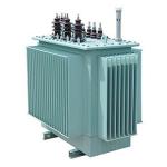 S9/20Kv oil immersed transformer fully sealed factory direct supply economic