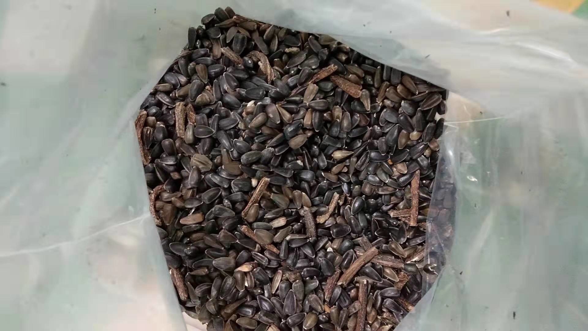 Data Processing Software Seeds Color Sorter With Intelligent CCD Color Camera