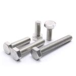 DIN Standard 304 Stainless Steel Hex Bolt Full Thread Bolt M4 M5 M6 M8 Plain