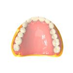 Denture Bases Biocompatible 3d Resin Pink Dental 3d Printing Resin