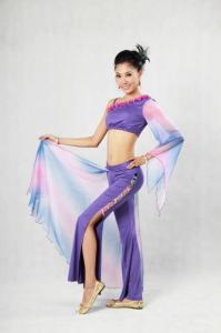 Quality 2 Pcs Purple Belly Dancing Clothes Diagonal Neckline Bra Leotard Long Dress Pants wholesale